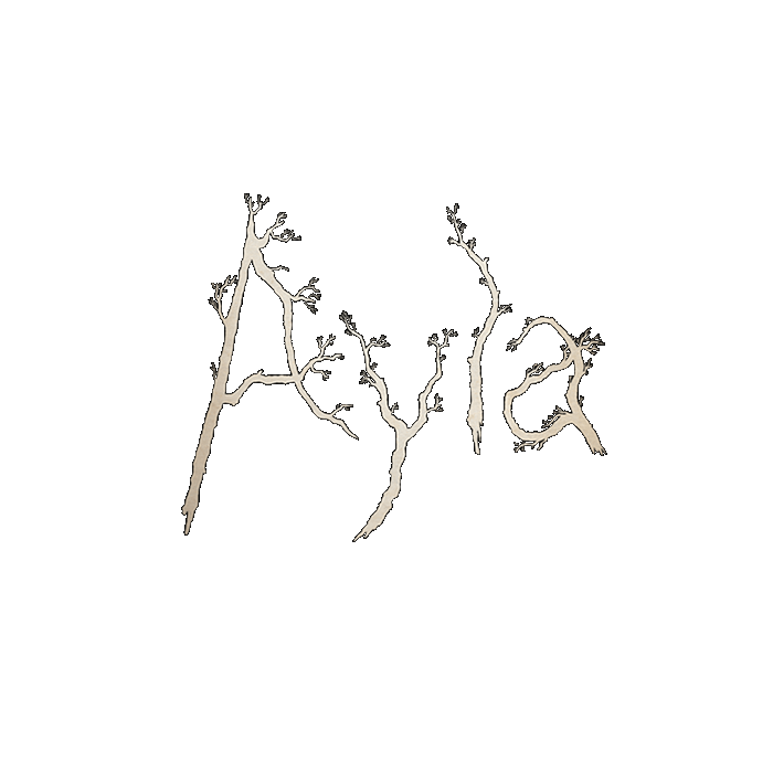 441a7125700cc9a370500f6b27608a89_original