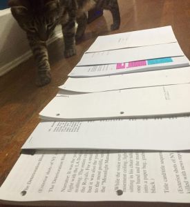 13177336_10154040598789333_8739534928570420536_n